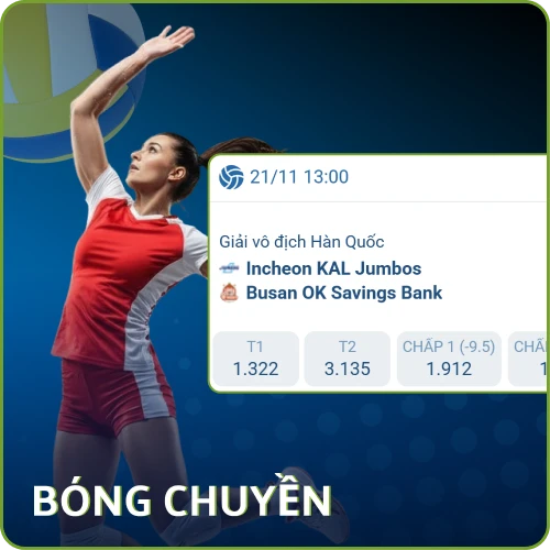 1xbet cung cấp nhiều trận bóng chuyền đa dạng trong mục thể thao.